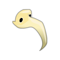 Vignette pour la version du 22 mai 2024 à 10:05