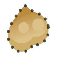 Vignette pour la version du 22 mai 2024 à 10:06