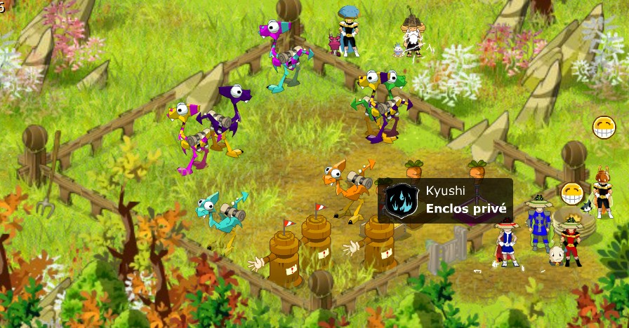 Fichier:Enclos de guilde.jpg.webp