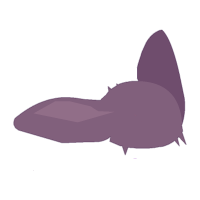 Vignette pour la version du 22 mai 2024 à 10:05