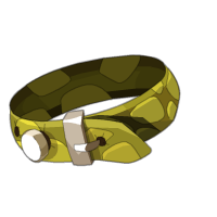 Fichier:Ceinture Teule.webp