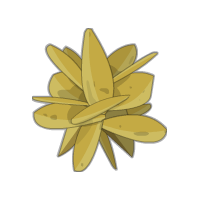 Vignette pour la version du 22 mai 2024 à 10:05